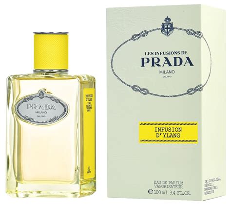 profumo prada milano infusion d& 39|infusion d'ylang prada.